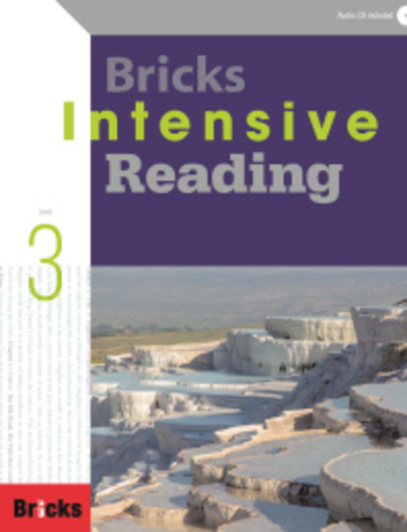New Bricks Intensive Reading 3