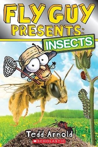 Fly Guy Presents #5 Insects (PB) 