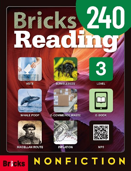 Bricks Reading 240 Nonfiction Level 3