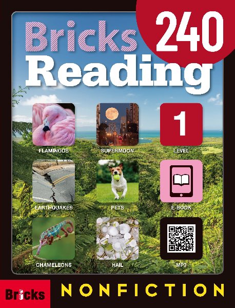Bricks Reading 240 Nonfiction Level 1
