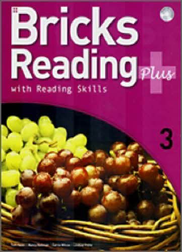 Bricks Reading plus 3