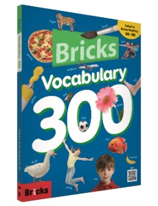 Bricks Vocabulary 300
