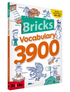 Bricks Vocabulary 3900